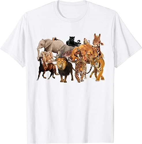 Playera