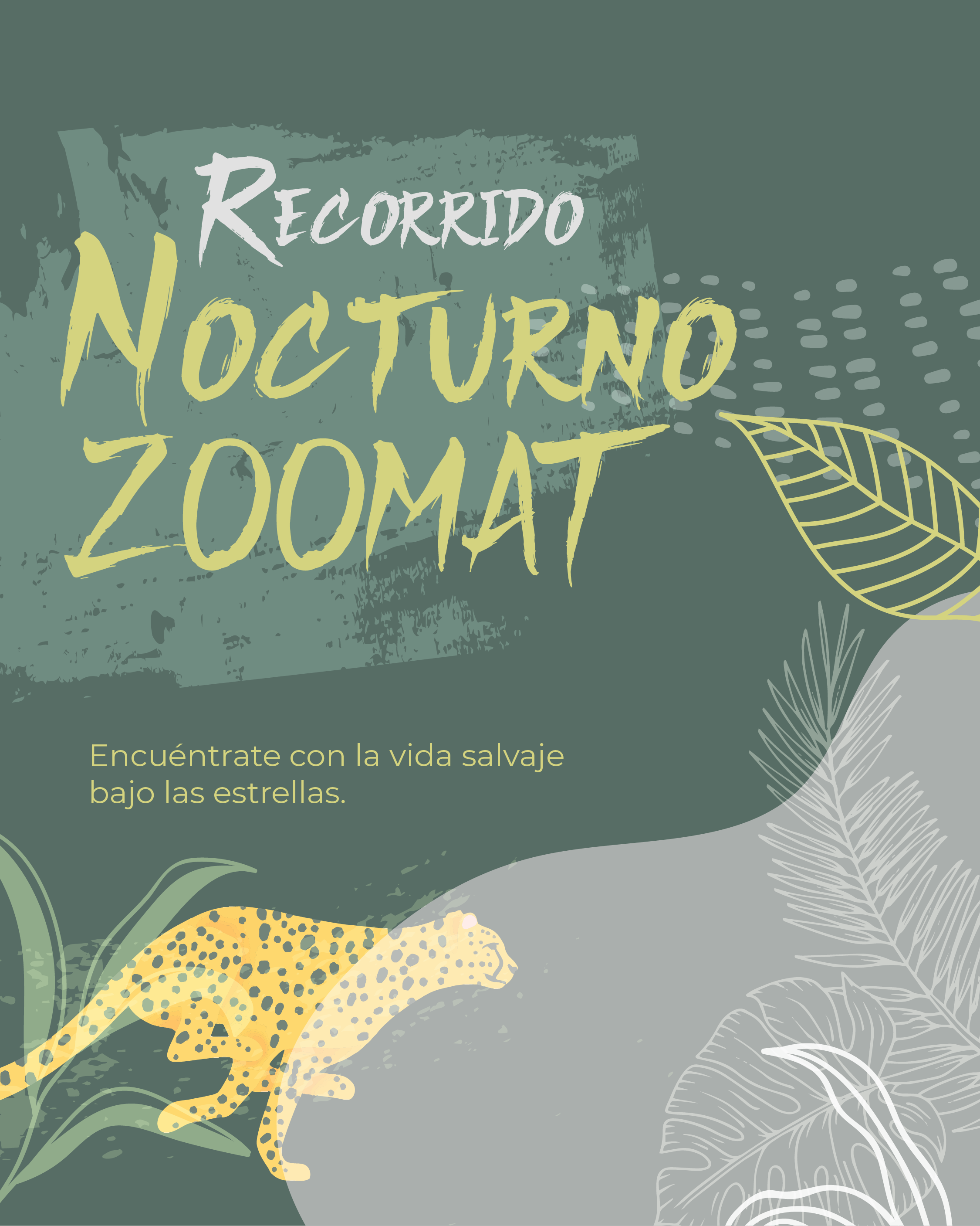 Recorrido nocturno ZOOMAT